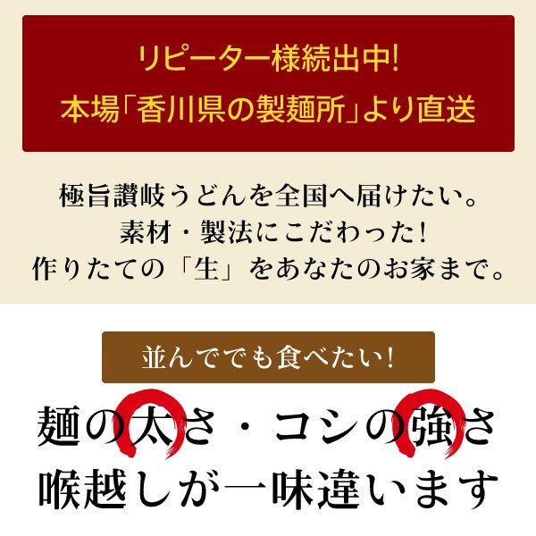 【超シェア買い祭】本場生讃岐うどん 専用醤油付セット 【普通麺】 6人前 (300g×2袋) 送料無料 讃岐うどん 生うどん しょうゆうどん 手土産 お土産 鎌田だし醤油 鎌田醤油 めんつゆ 出汁 本場