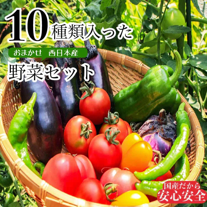 【超シェア買い祭】送料無料 野菜セット 10品セット おまかせ野菜セット 野菜詰め合わせ お試し野菜セット 西日本野菜セット フードロス 岡山 複袋 福袋 送料込 も ったいない 人気 安い 野菜宅配 おすすめ プレゼント ギフト 実用的 父の日 ギフト 福袋 お正月【エコ得】