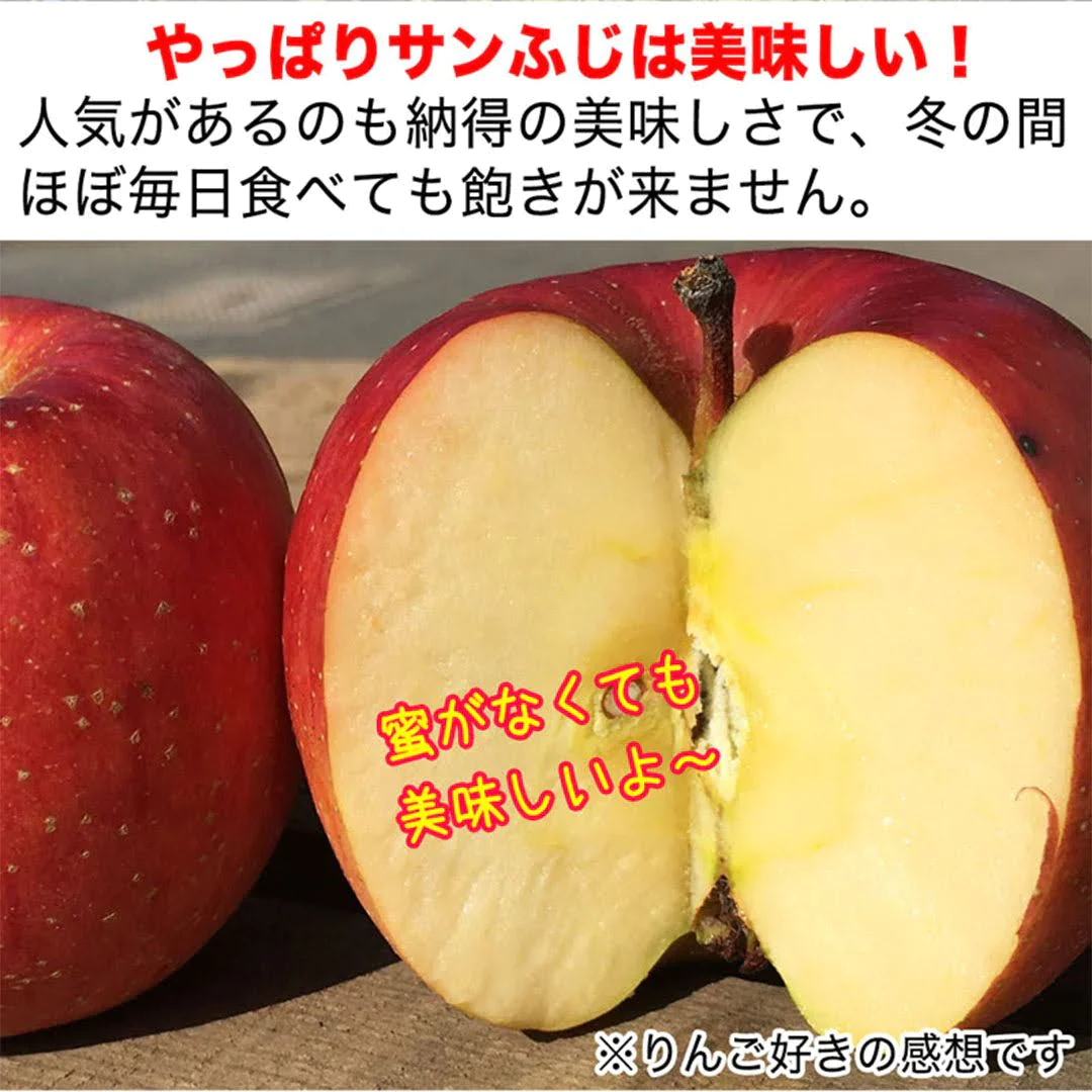 サンふじ 加工用 約3kg 7-16玉＃YAF0K030