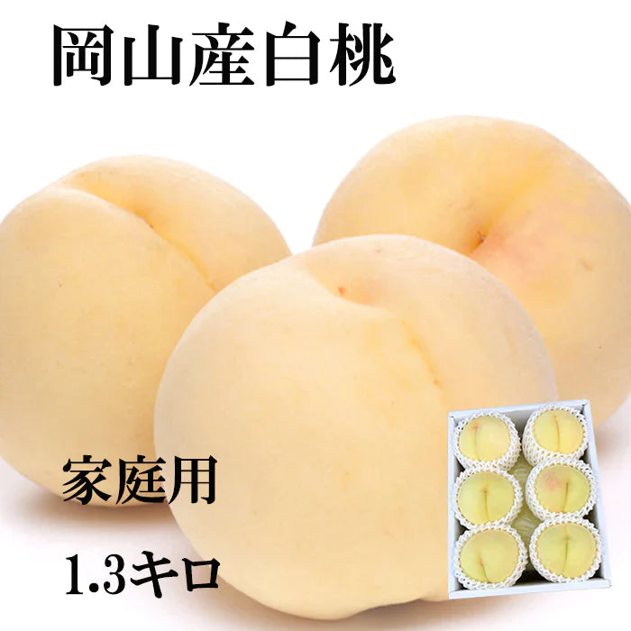 【超得ハイパーSALE】【7月上旬から8月上旬発送可能】岡山産 白桃 訳あり 1.3キロ 5－8玉入り 家庭用