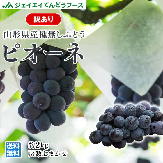 訳あり ピオーネ 約2kg(房数おまかせ) ぶどう 山形県産 送料無料 gr05【ゲリラセール】