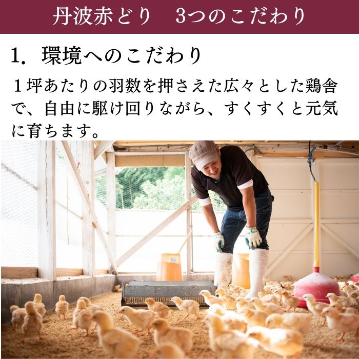 手捌き熟成丹波赤どり１羽セット（約5人前 1.8kg以上）