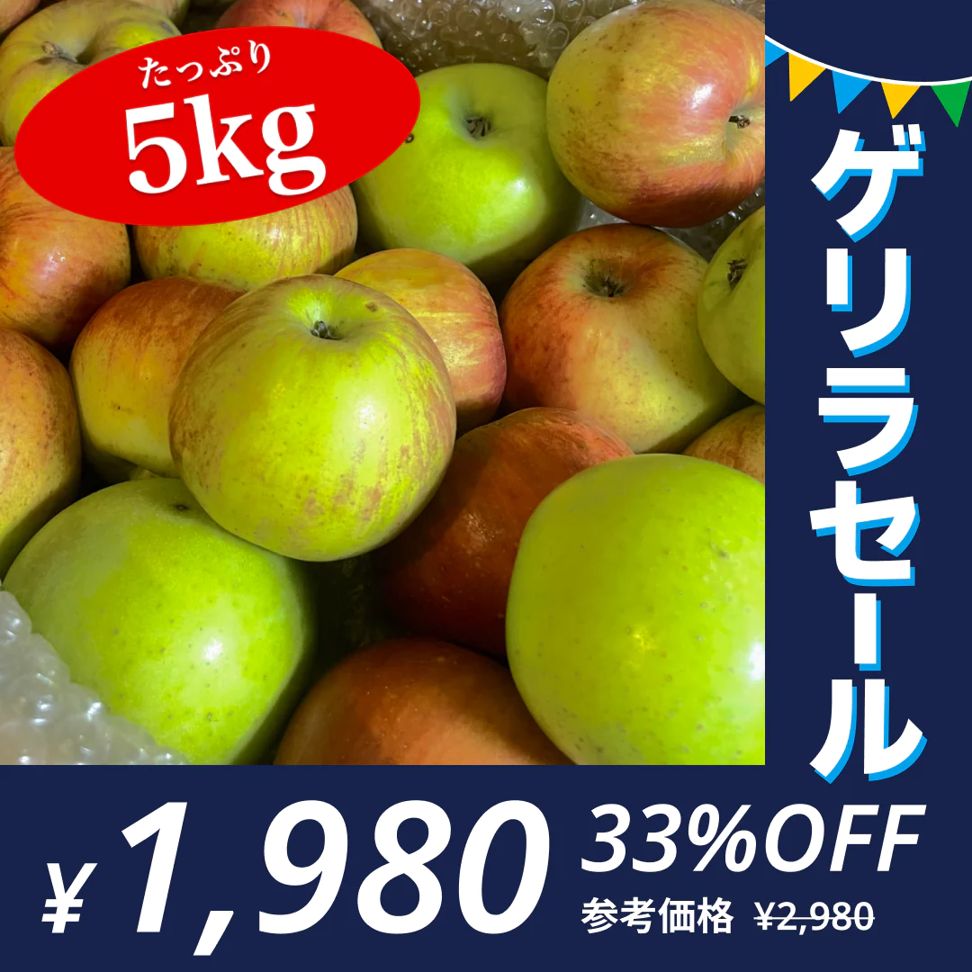 訳ありレスキューりんご 約5kg 長野県産 家庭用  品種混合 果物 フルーツ【順次出荷】【ゲリラセール】