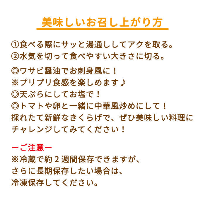 生きくらげ 1箱(500g×1袋入り)『きわみ』常温便 *