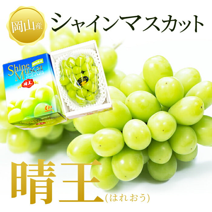 【10人シェア買いで10%OFF】シャインマスカット【9月上旬順次発送】送料無料 岡山産 シャインマスカット 晴王 優品2房 900g〜1kg ぶどう