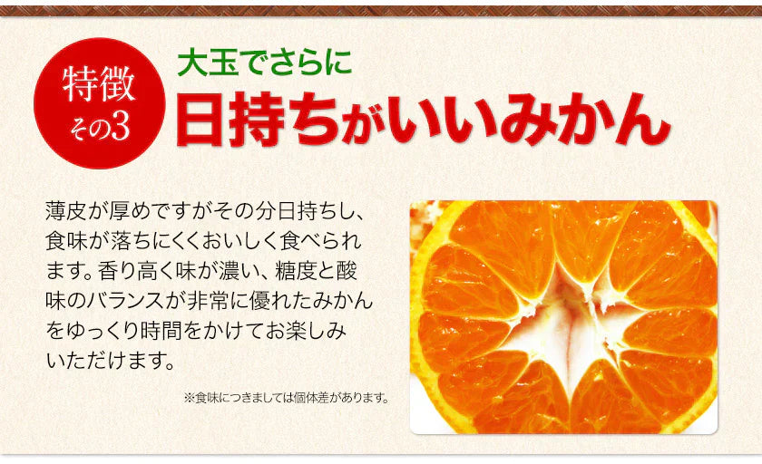 大粒 みかん 訳あり 5kg 熊本 送料無料 フルーツ 訳ありみかん 大玉 家庭用 果物 柑橘 箱買い たっぷり5キロ【特産品・ご当地特集】