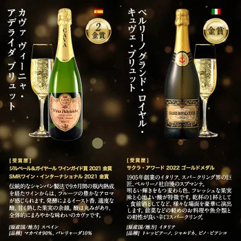 厳選 金賞入り 高品質 全部 辛口 スパークリング ワイン 12本 飲み比べ セット ［常温］ 【送料無料】 [W][S] 泡 イタリア スペイン シャンパン製法 瓶内二次発酵 カヴァ スプマンテ オーガニック 入り ギフト おすすめ 飲み比べ【エコ得】