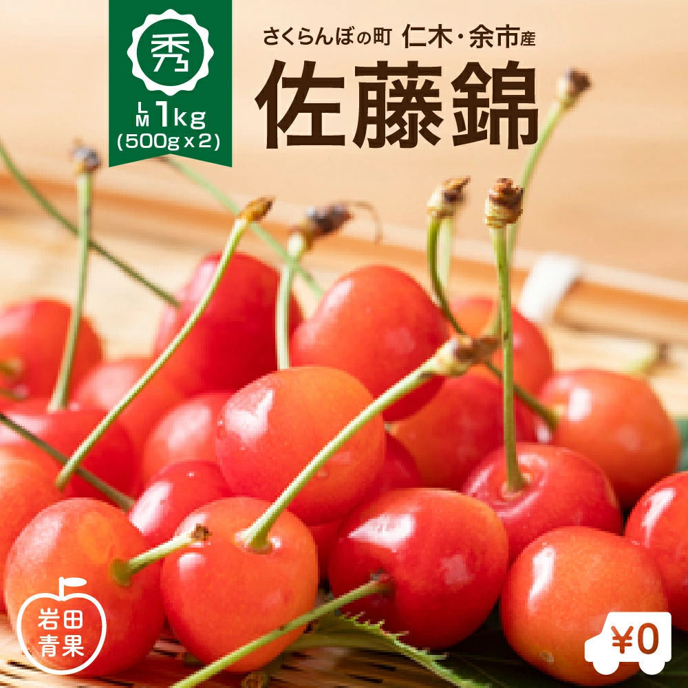 佐藤錦 さくらんぼ 北海道 仁木 余市町産 【7月上旬～中旬出荷】