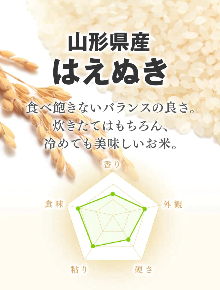 米 送料無料 10kg 令和4年産 山形県産 はえぬき精米 10kg(5kg×2) 送料無料※一部地域を除く【最安値に挑戦】【お米シェア買い10tチャレンジ】