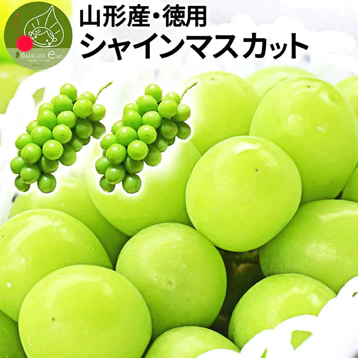 【9月下旬発送】 シャインマスカット 産地直送 2〜3房入り（約1kg前後） 山形県産 お徳用 大粒 訳ありぶどう 山形県から産地直送 種無し 大粒 送料無料 果物【エコ得SALE】