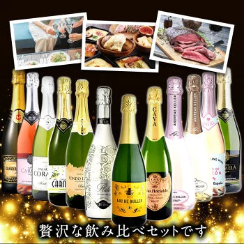 厳選 金賞入り 高品質 全部 辛口 スパークリング ワイン 12本 飲み比べ セット ［常温］ 【送料無料】 [W][S] 泡 イタリア スペイン シャンパン製法 瓶内二次発酵 カヴァ スプマンテ オーガニック 入り ギフト おすすめ 飲み比べ【エコ得】