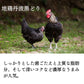 手捌き熟成地鶏丹波黒どり１羽セット（1.8kg～2kg前後）