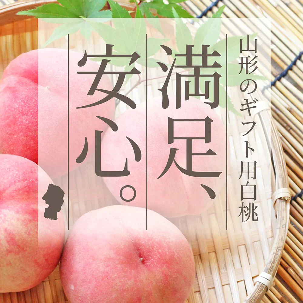 【8月上旬発送】 山形県産 白桃 3kg（約9～11玉前後） 秀品 産地直送の桃 あかつき お供え 川中島白桃 贈答用 ギフト 硬い桃 美晴 クール便発送・同梱不可 日時指定不可 送料無料 果物 フルーツ【エコ得SALE】