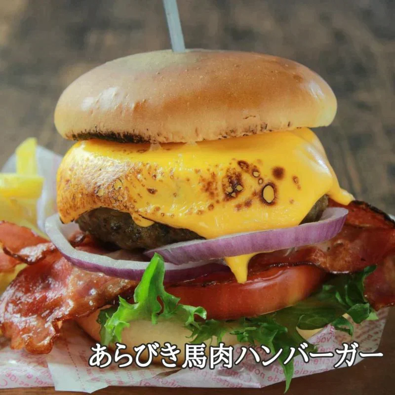 馬肉100％ ヘルシー あらびきハンバーグ10個　馬肉専門店 菅乃屋 熊本