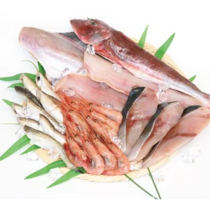 下処理済みおまかせお魚セット ４～６種入り【送料無料】