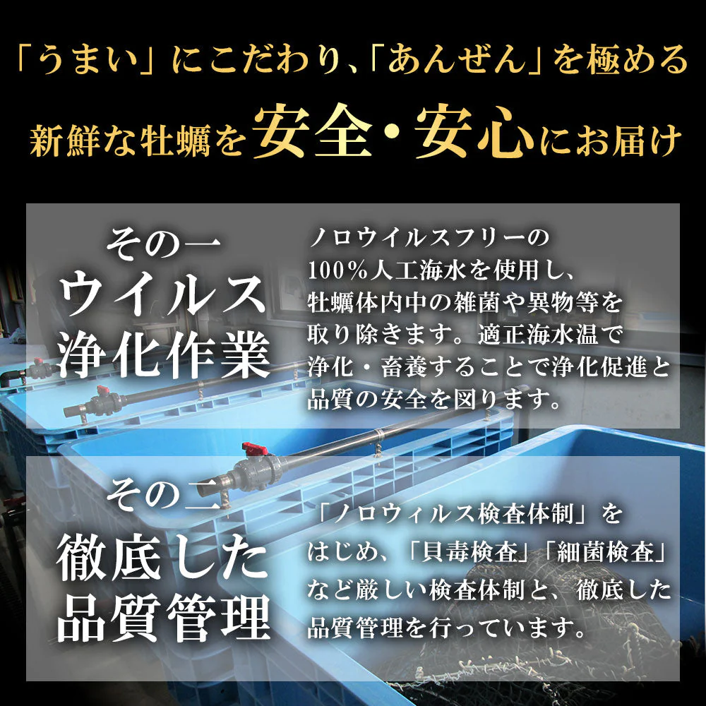 生食用殻付き牡蠣　12個入り
