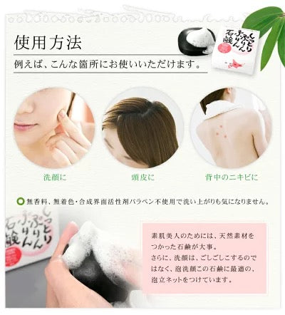 【3人シェア買いでお得】登別温泉 しっとりぷりんぷりん石鹸１００ｇ  熊笹 茶エキス 熊笹竹炭 鮭コラーゲン アンチエイジング ニキビ 全身 洗顔