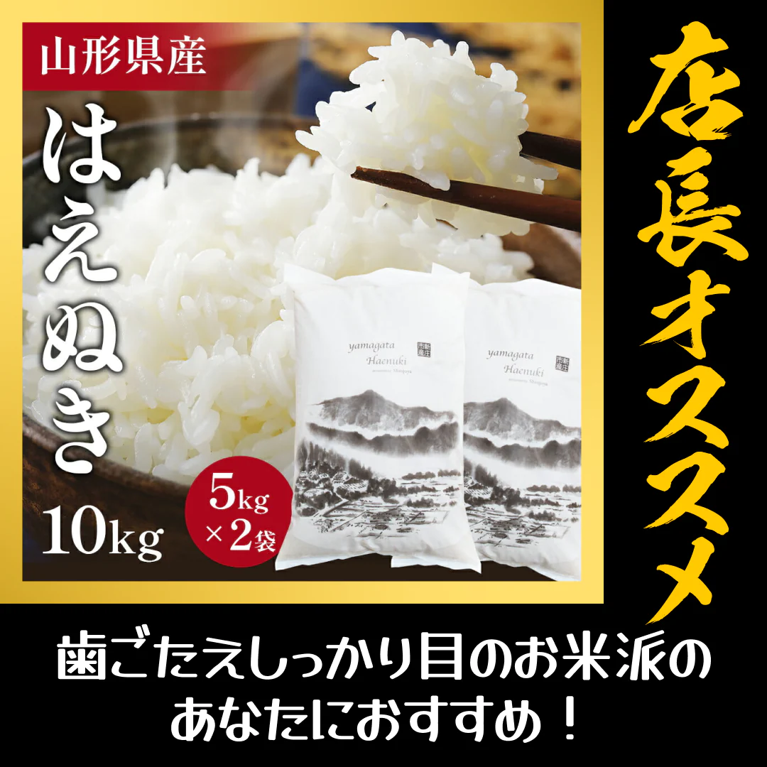 10キロ 山形県産 令和4年度 新米 はえぬき【店長本気のシェア買いWEEK】