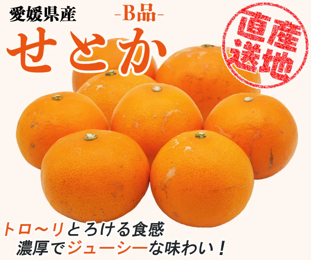 せとか 訳あり みかん 5kg ミカン 蜜柑 サイズミックス 柑橘 フルーツ 果物 くだもの ご家庭用 箱買い 産地直送 愛媛県産 YDF-020