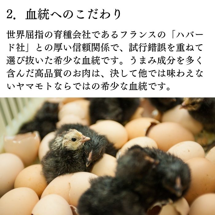 手捌き熟成地鶏丹波黒どり１羽セット（1.8kg～2kg前後）