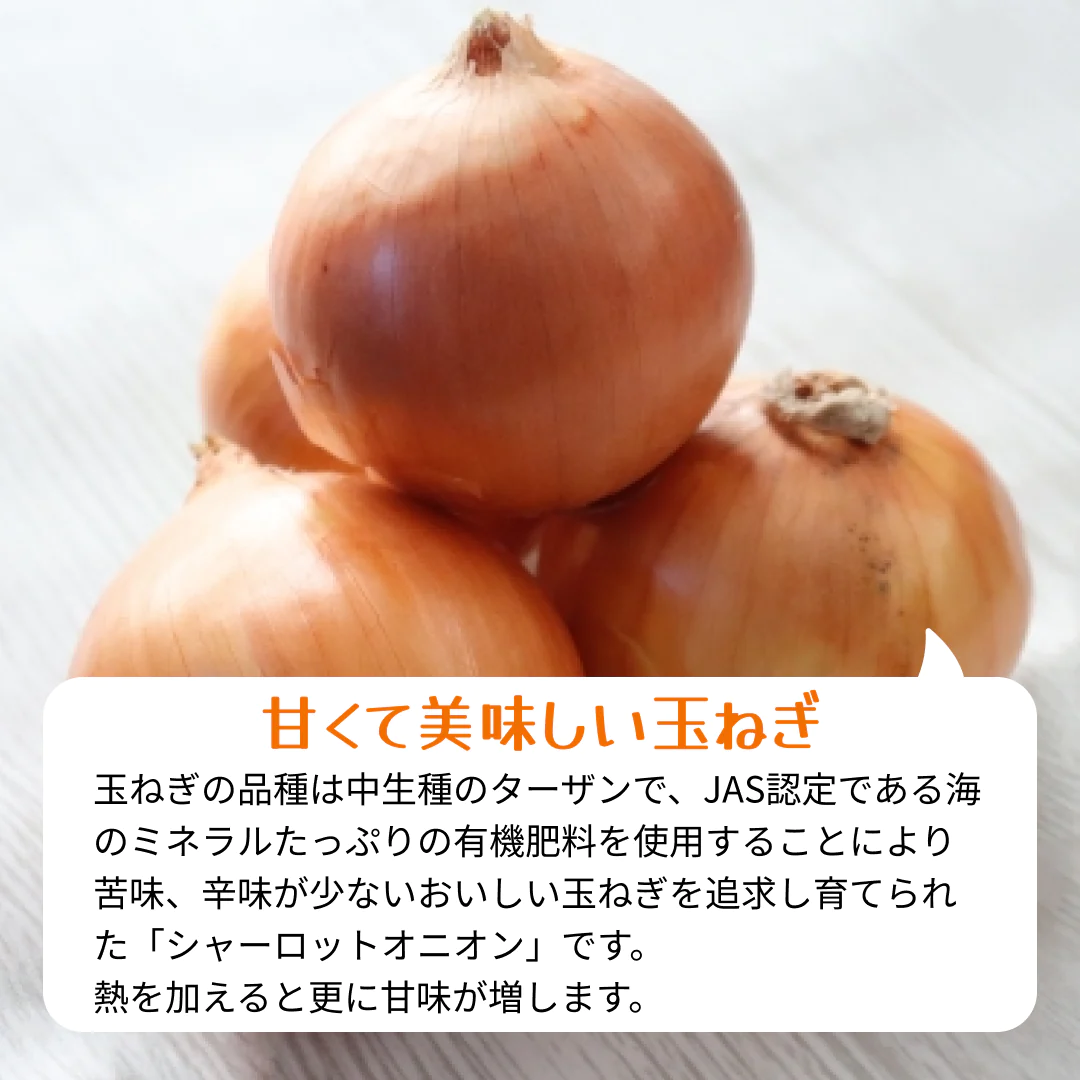 [6-8個]訳あり玉ねぎ2kg🧅シャーロットオニオン🧅淡路島極熟玉葱🧅送料無料 たまねぎ タマネギ【ゲリラセール】