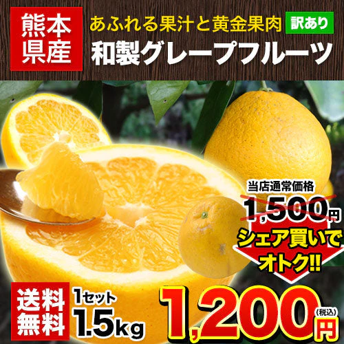 河内晩柑 1.5kg 送料無料 和製 グレープフルーツ 旬 の フルーツ 果物 みかん 別名：夏文旦 愛南ゴールド 宇和ゴールド ジューシーみかん と同品種 晩柑 熊本県産《3月中旬~4月上旬頃発送予定》
