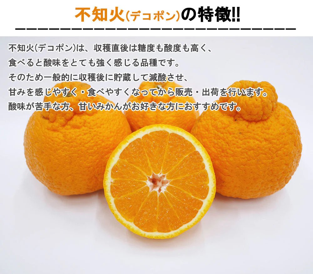 不知火 (デコポン) 訳あり 5kg 送料無料 ご家庭用 箱買い サイズミックス みかん 柑橘 フルーツ 果物 産地直送 愛媛県産  YDF-011