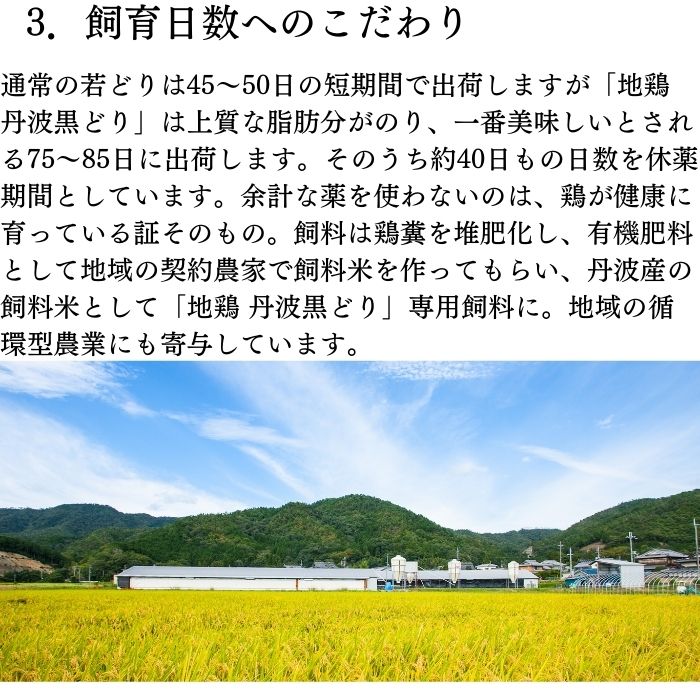 手捌き熟成地鶏丹波黒どり１羽セット（1.8kg～2kg前後）