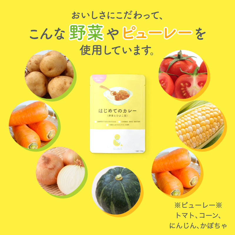 100g×6袋 レトルトカレー カレーレトルト はじめてのカレー（野菜とひよこ豆)【１歳４ヶ月頃～２歳０ヶ月頃まで】無添加 小麦粉不使用 国産素材 国産野菜 有機スパイス 辛味成分ゼロ カレーデビュー 辛くない 甘口 幼児食 こども用カレー 子供向けカレー 保存食 非常食