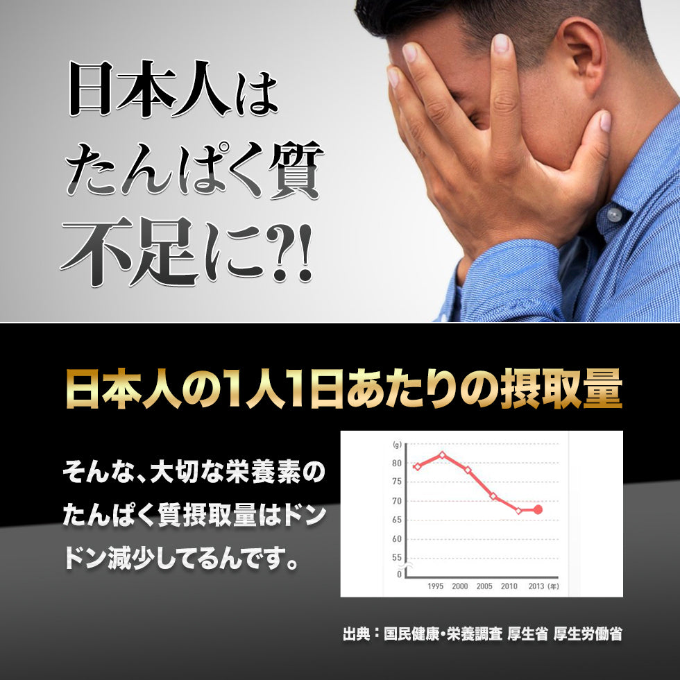 ホエイ プロテイン プレーン味 500g ドイツ産 無添加