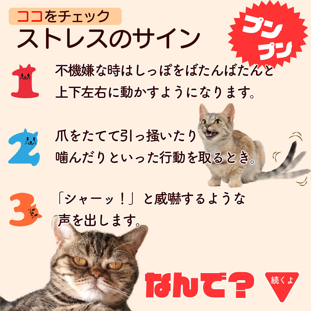 キャットタワー 高さ173cm 据え置き おしゃれ かわいい ペット 猫 ネコ 運動不足解消 大型 小型 多頭飼い 爪研ぎ 爪とぎ 麻紐 ハウス 子猫 シニア グレー ベージュ アイボリー 畳 部屋 据え置き 組立簡単 かんたん おもちゃ 室内 運動
