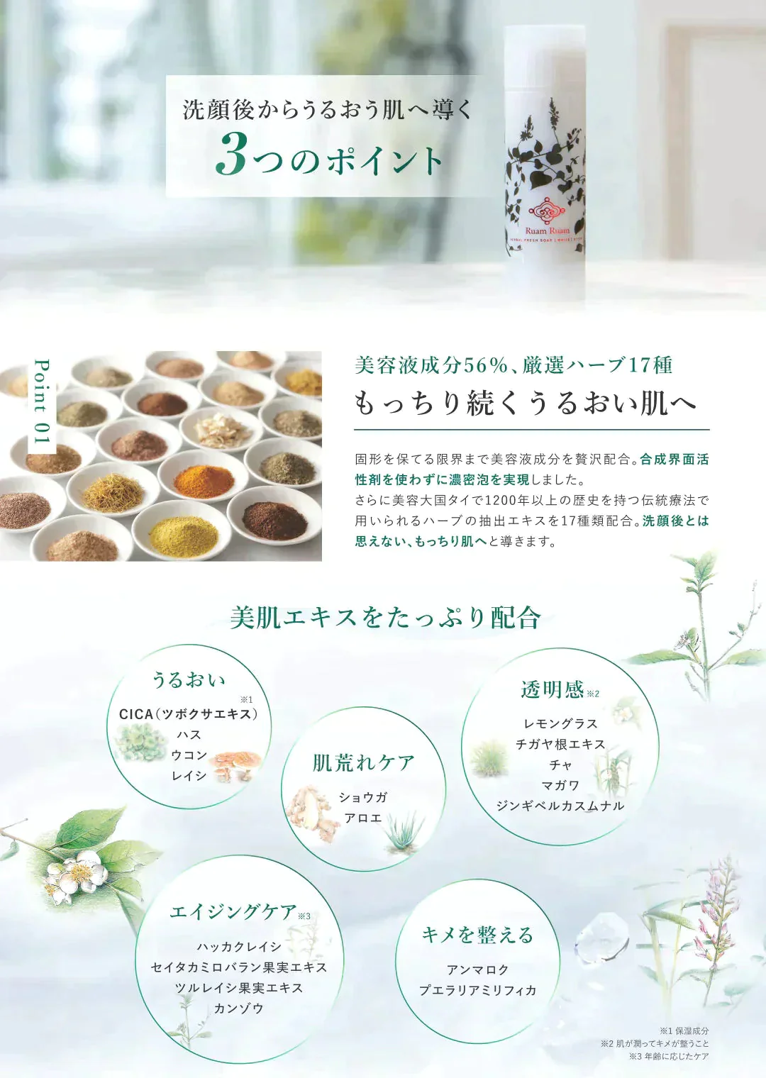 洗顔石鹸　ハーバルフレッシュソープ （スティック・オリジナル）｜泡立てネット付き｜ 送料無料 ｜ルアンルアン 【ゲリラセール】