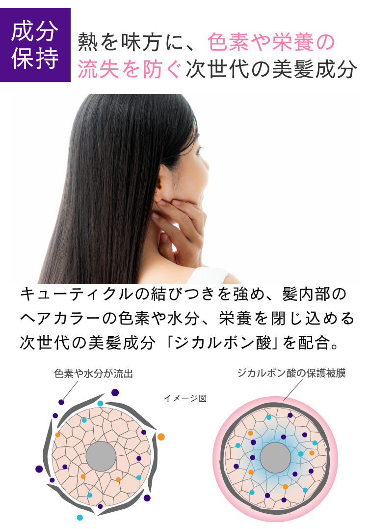【タイムセール】【美容室専売品】プロ仕様ヘアカラーの色落ち防止シャンプー＆ヘアパック セット（各450ml）お徳容量/退色防止 アミノ酸シャンプー EARTHEAR 日本製