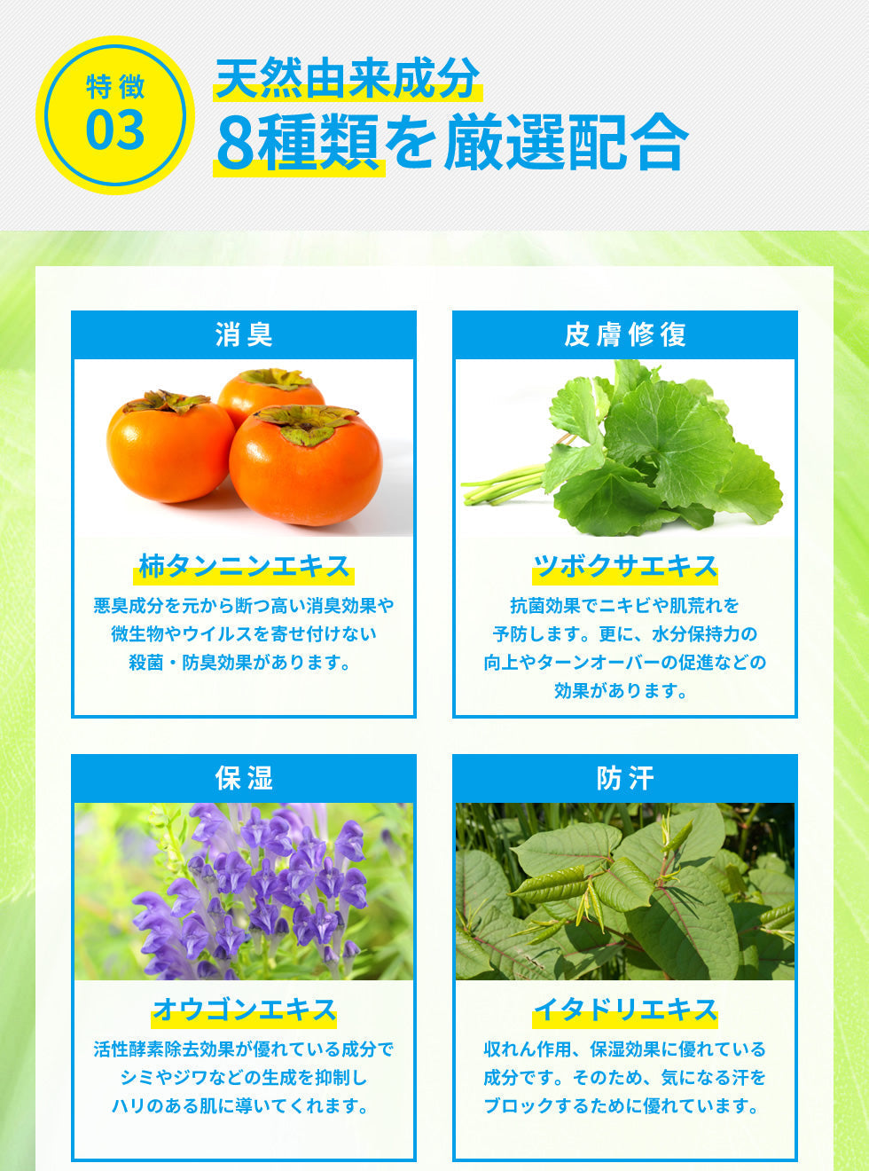 【最安値挑戦祭】【医薬部外品】薬用 デオドラントクリーム NOI モーニングデオ 50g ノイ ニオイケア 大容量 消臭 防臭 制汗 体臭 ワキガ 足の ニオイ 消す 臭い 朝 消臭ジェル デオドラント 消臭クリーム 長時間 対策 汗 蒸れ 不快臭 定型内 送料無料