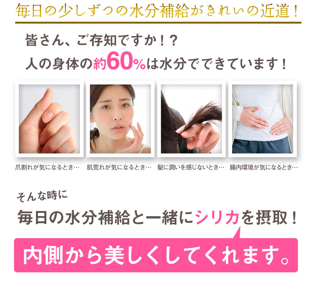 【最安値挑戦祭】シリカ炭酸水 500ml 24本 シリカ水 炭酸水 強炭酸水 高濃度シリカ ケイ素水 天然シリカ シリカウォーター 軟水 マイマドンナ 国産 大分県産 ギフト