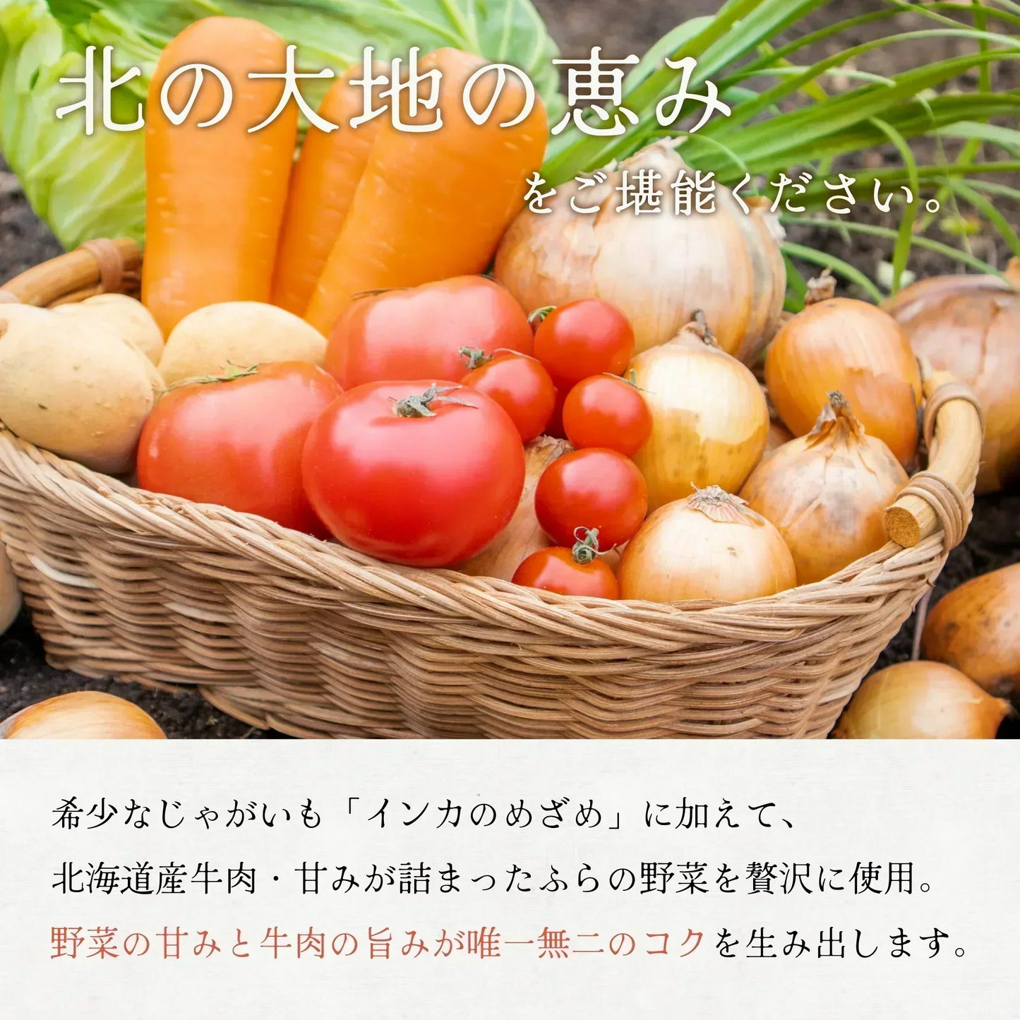 【感動の逸品！】北海道ふらの野菜のビーフシチュー（260g×4パック）送料無料 / 肉 / 玉ねぎ / タマネギ / たまねぎ / 玉葱 / ジャガイモ / じゃがいも / 野菜 / ワイン / 送料無料 / ご飯 / ごはん / おかず / 【特産品・ご当地特集】