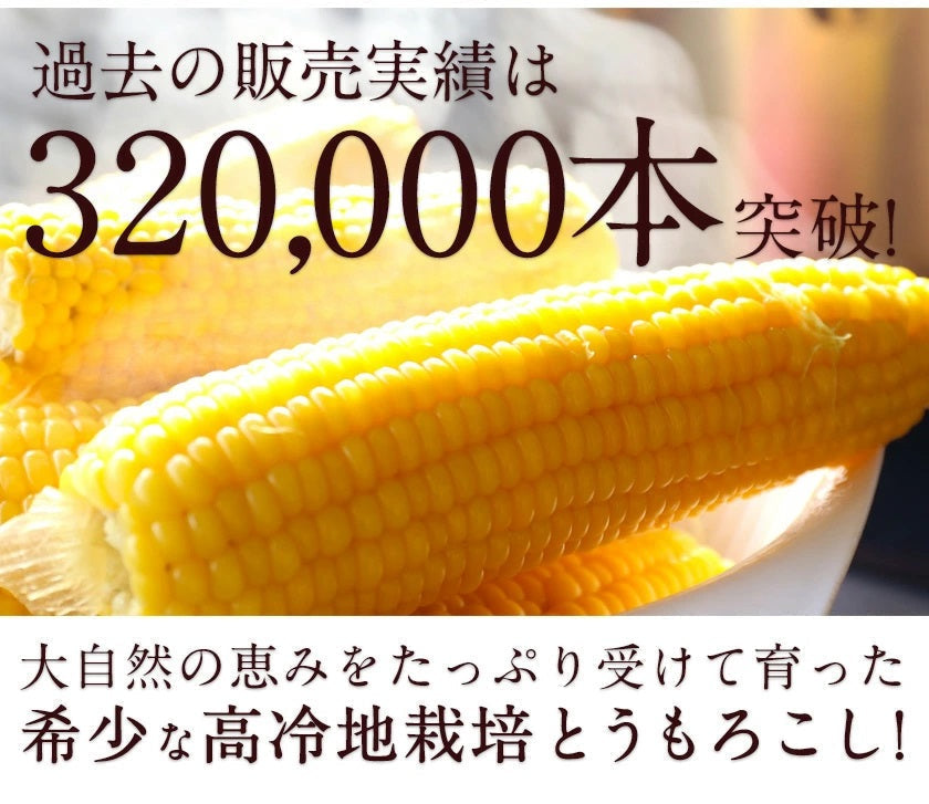 とうもろこし 卯野農場 すごあまこーん 6本入り【3L~Lサイズ / 約1.8kg-2.4kg前後】コーン トウモロコシ 朝採り スイートコーン お中元
