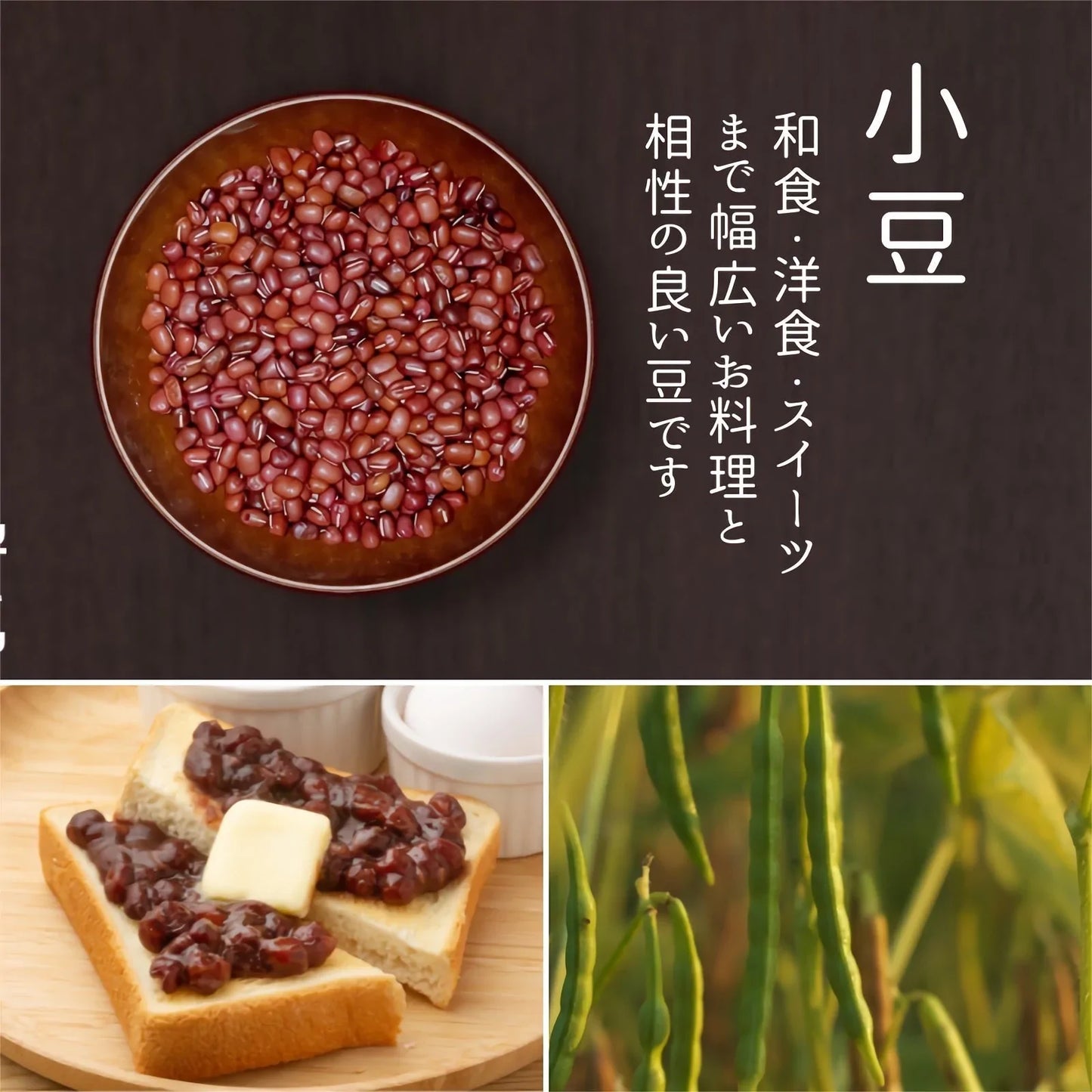 【厳選した豆を食べ比べ】７種の乾燥豆セット 計700ｇ（各100ｇ）農薬・化学肥料不使用 2022年産 青森県産 厳選 産地直送 送料無料 お試し 健康 ヘルシー