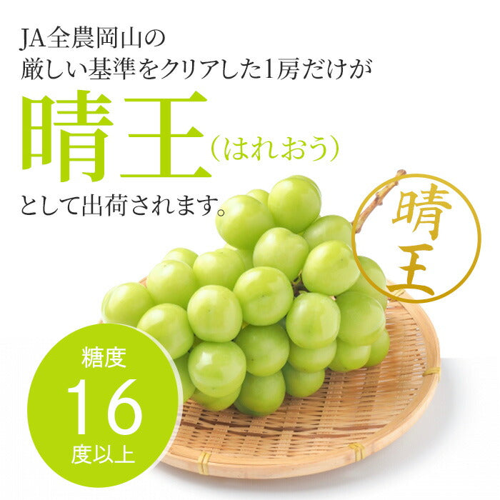 【5人シェア買いで5%OFF】シャインマスカット【9月上旬順次発送】送料無料 岡山産 シャインマスカット 晴王 優品2房 900g〜1kg ぶどう