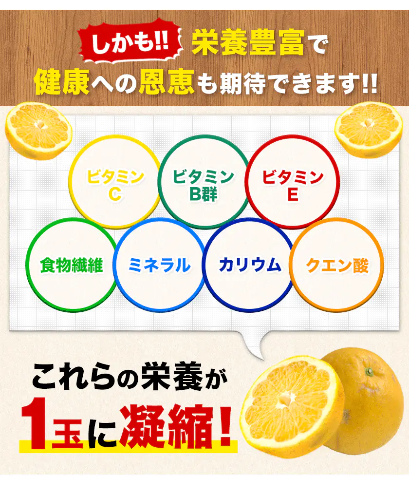 河内晩柑 1.5kg 送料無料 和製 グレープフルーツ 旬 の フルーツ 果物 みかん 別名：夏文旦 愛南ゴールド 宇和ゴールド ジューシーみかん と同品種 晩柑 熊本県産《3月中旬~4月上旬頃発送予定》