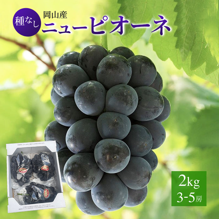 【9月上旬順次発送】送料無料 岡山産 ピオーネ 2キロ 訳あり 3-5房入 ぶどう プレゼント お祝い ギフト【エコ得】