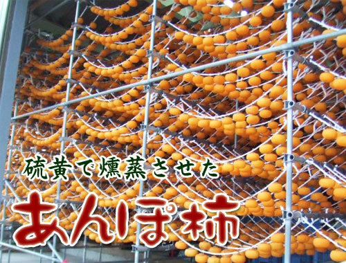 福島県産 あんぽ柿 約230g（3～5個入）×4P