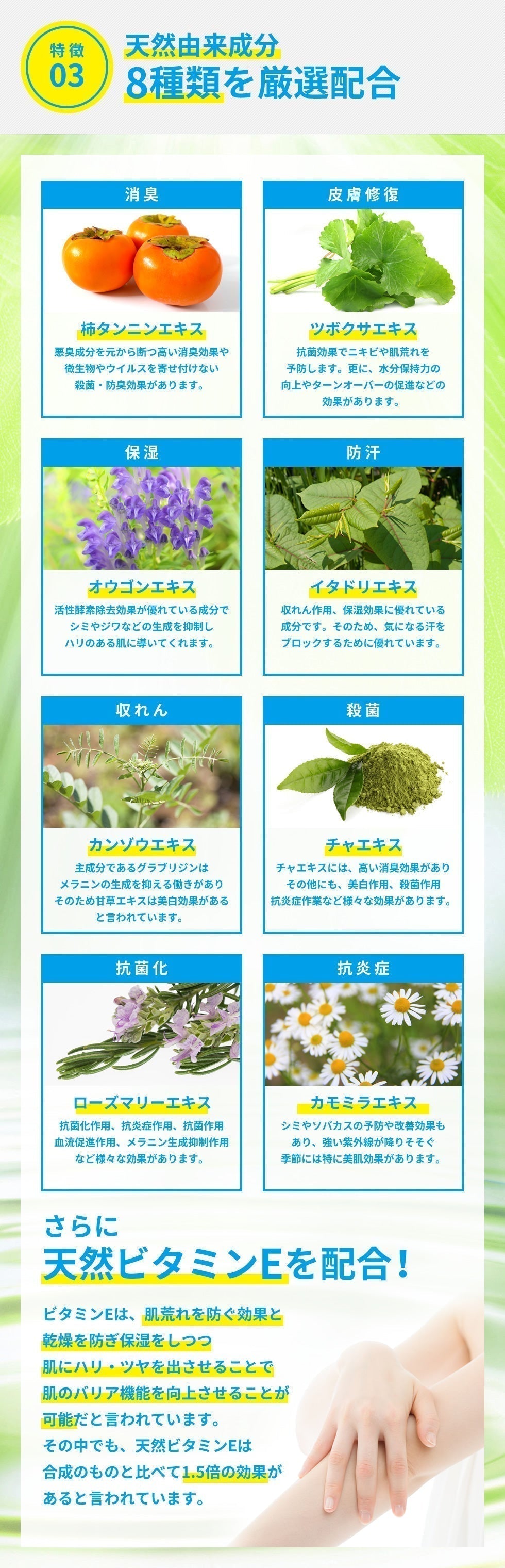 【20人シェア買いでお得】【医薬部外品】薬用 デオドラントクリーム NOI モーニングデオ 50g ノイ ニオイケア 大容量 消臭 防臭 制汗 体臭 ワキガ 足の ニオイ 消す 臭い 朝 消臭ジェル デオドラント 消臭クリーム 長時間 対策 汗 蒸れ 不快臭 定型内 送料無料