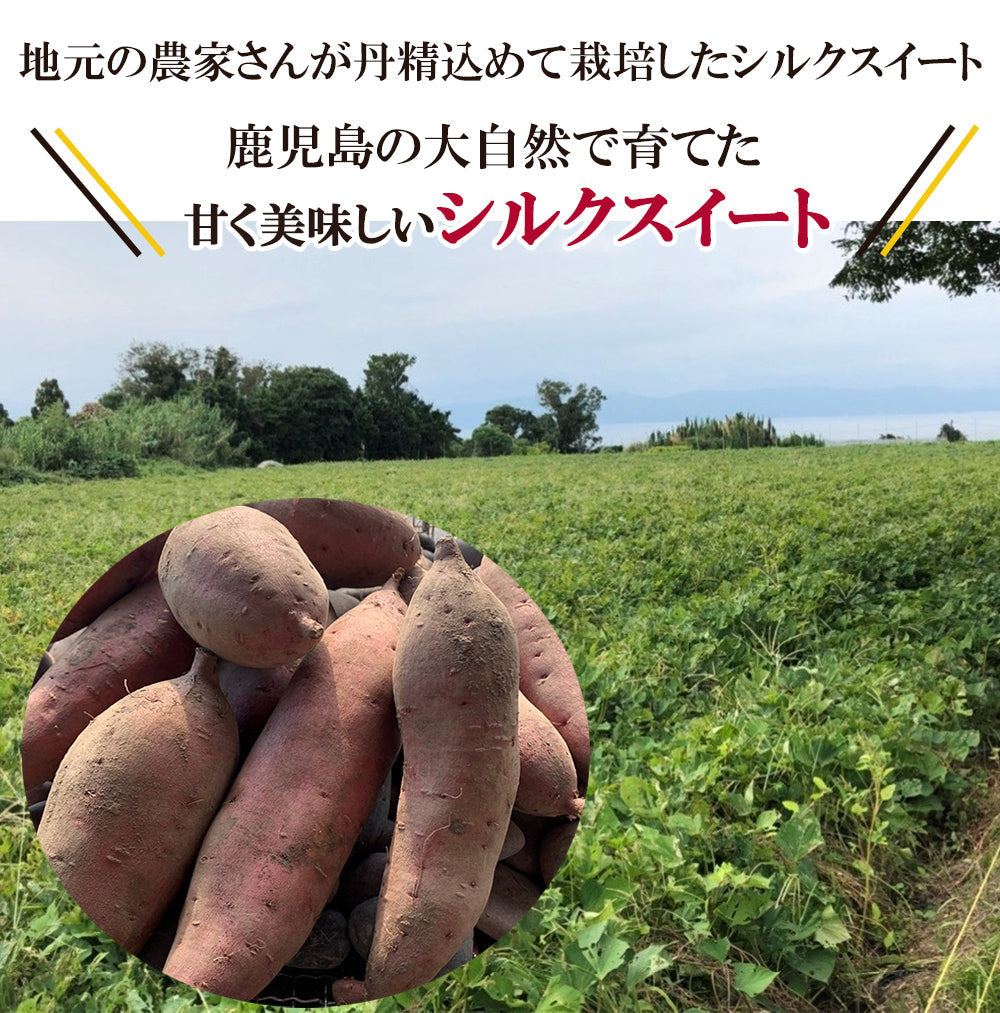 シルクスイート さつまいも 5kg 送料無料 産地直送 産直 土付き さつま芋 薩摩芋 焼きいも 焼き芋 石焼き芋 芋 いも イモ 鹿児島県産 ngs-004