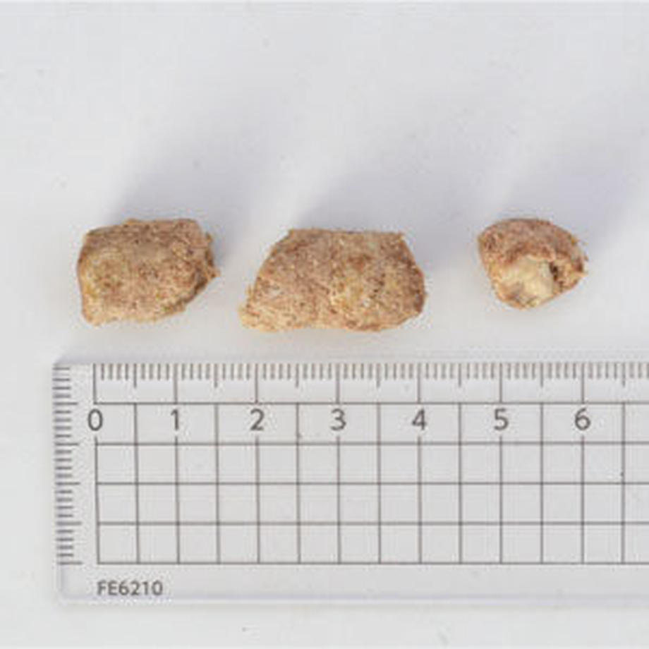 500ｇ K9ナチュラル チキンフィースト