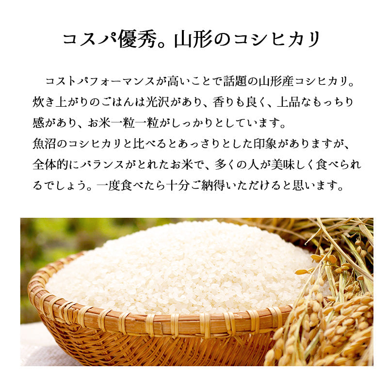 米 10kg 山形産コシヒカリ 令和3年産 お米 白米 10キロ（本州：送料無料）