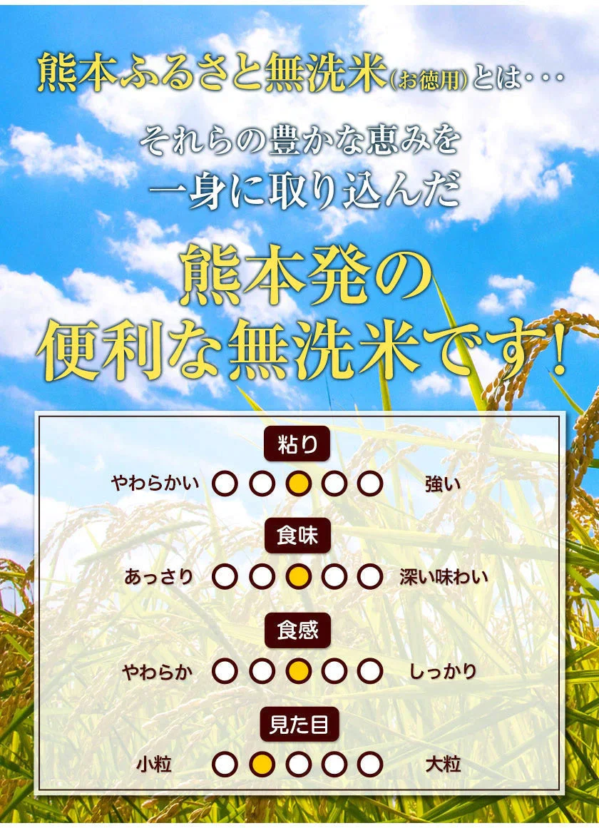 無洗米 10kg (5kg ×2袋) 熊本県産 令和4年産 ひのひかり 6割使用 コメ 精米 白米 熊本ふるさと無洗米【リピート】《7-14営業以内に出荷予定(土日祝日除く)》