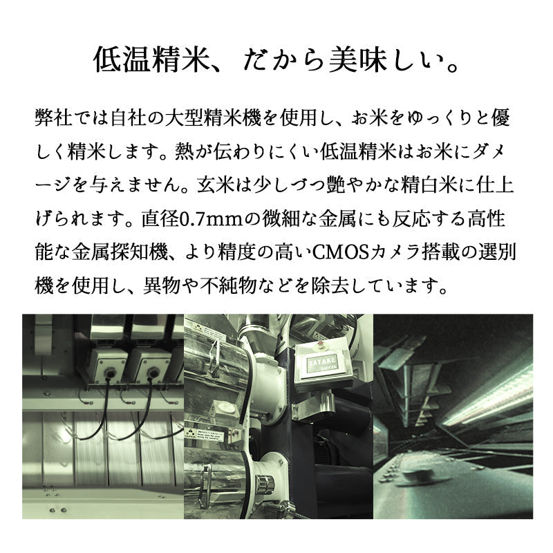 米 10kg 山形産コシヒカリ 令和3年産 お米 白米 10キロ（本州：送料無料）