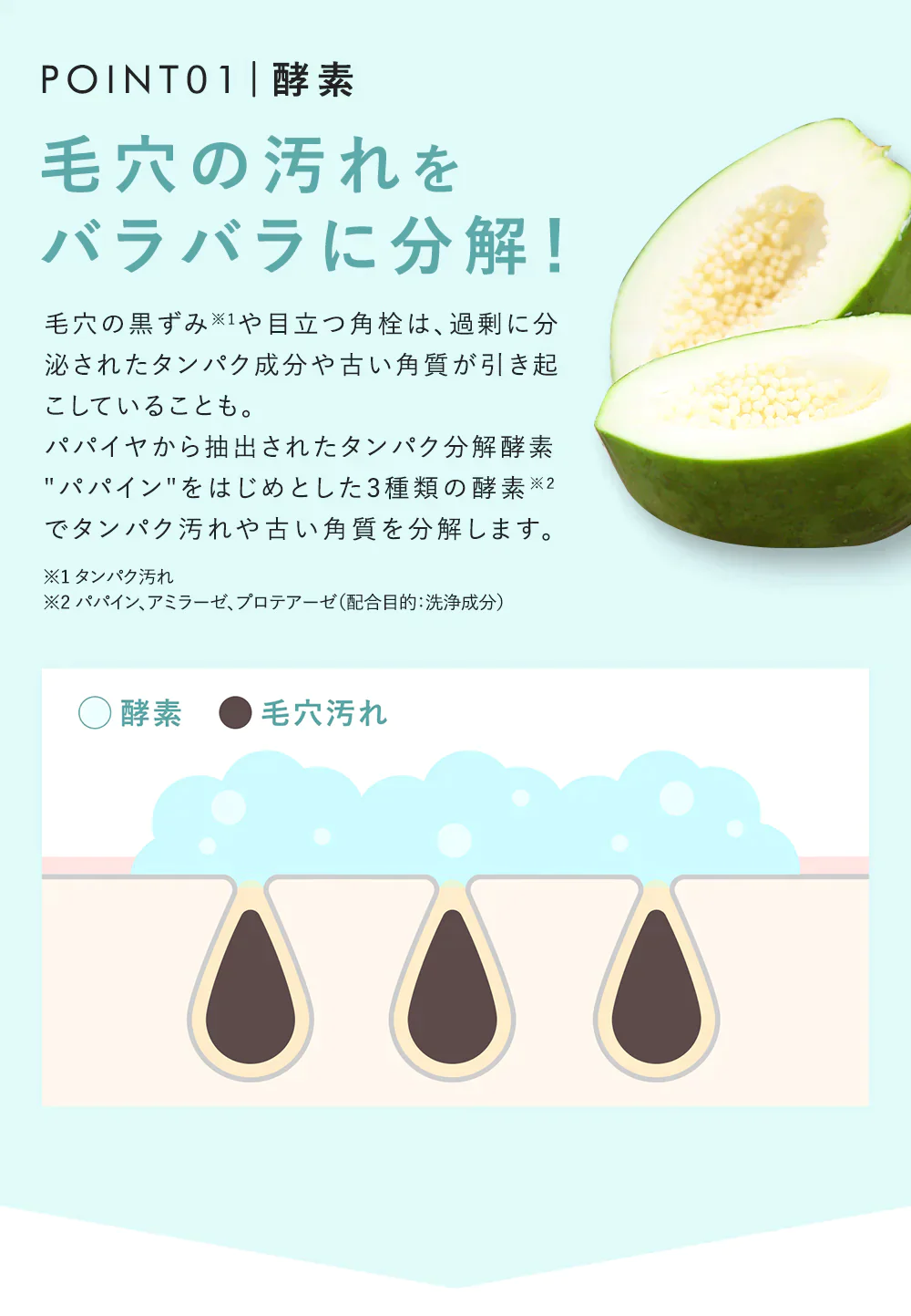 【PHOEBE BEAUTY UP  パウダーウォッシュ 1箱30包】酵素洗顔 個包装 パパイン 酵素洗顔パウダー 日本製