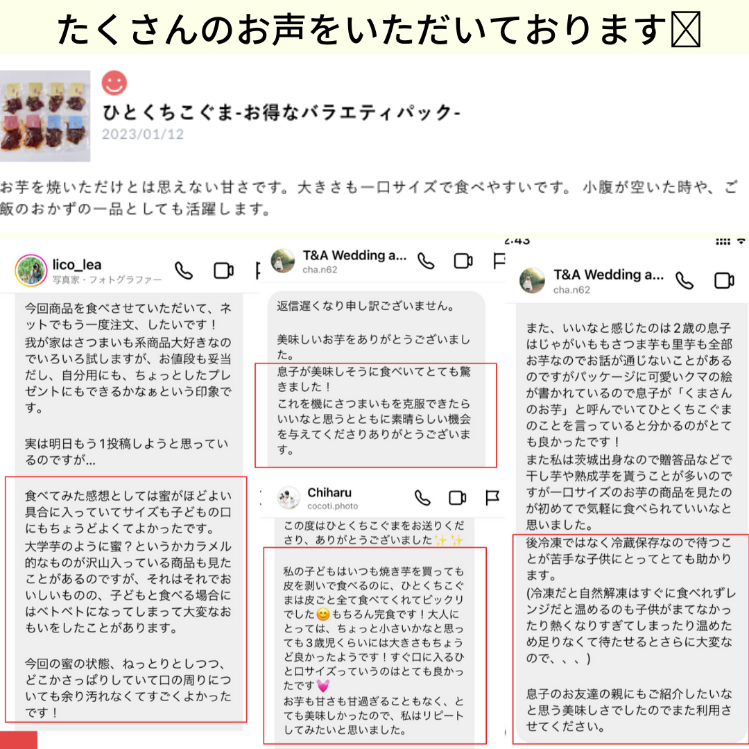 ひとくちこぐま-初心者パック-